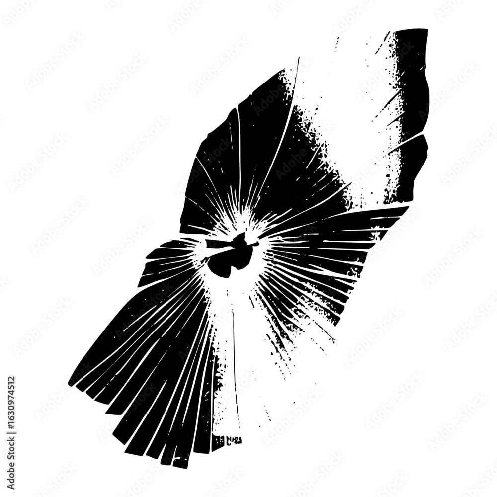 Obraz premium Vector Abstract moth with radiating wing .