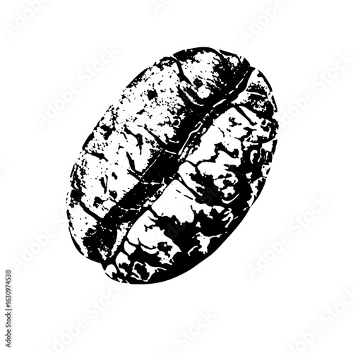Vector Detailed of a single coffee bean with a prominent fissure.