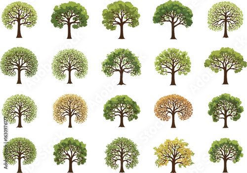 Collection of twenty diverse deciduous trees with full green foliage and varied branch structures on a white background