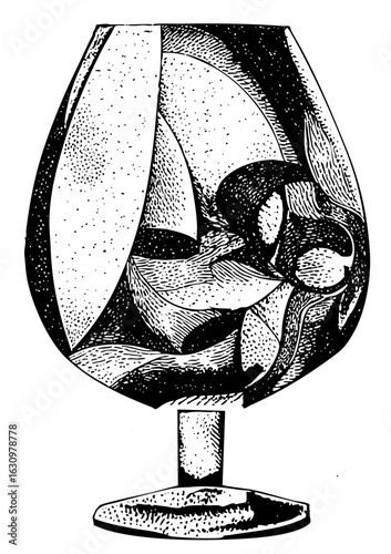 Vector Elegant brandy snifter with fruit garnish.