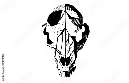 Vector Geometric feline skull with textured details.
