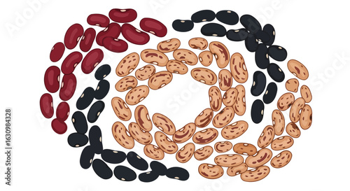 colorful bean variety a perfect blend for healthy recipes