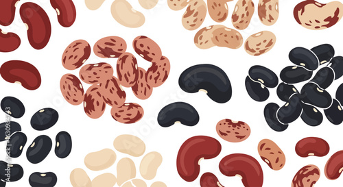 diverse bean varieties colorful food illustration for healthy eating