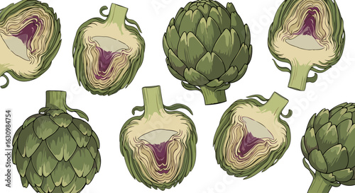 fresh artichoke halves whole vibrant culinary illustration