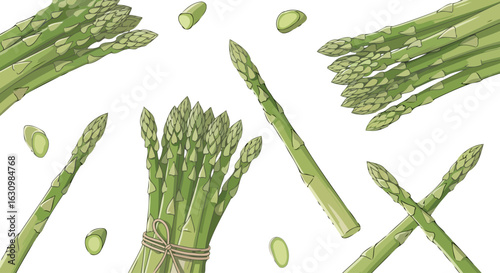 fresh asparagus vibrant vector illustration for healthy recipes