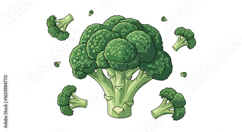 fresh broccoli florets healthy eating vibrant green design