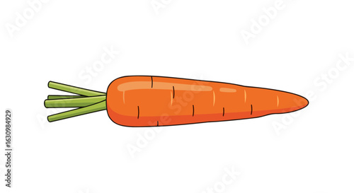 fresh orange carrot illustration perfect for healthy eating campaigns