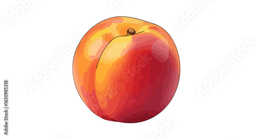 juicy peach illustration perfect for summer recipes and branding