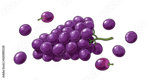juicy purple grapes freshness health and delightful taste