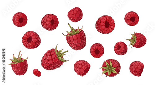 juicy raspberries fresh vibrant and perfect for your design