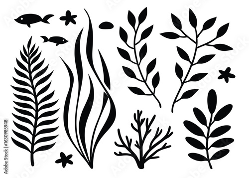 Elegant black and white underwater elements depicting marine plants seaweed and fish silhouettes