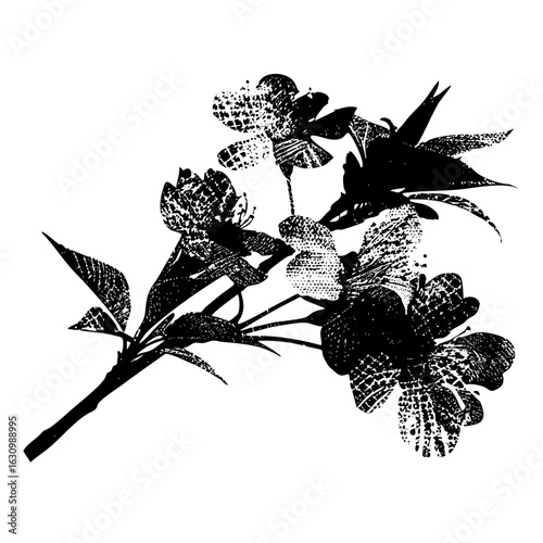 Vector Floral branch with detailed blossoms and leaves.