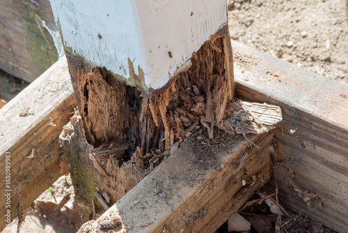 Extreme Close up of the Bottom a Wooden Post that is Severely Rotted