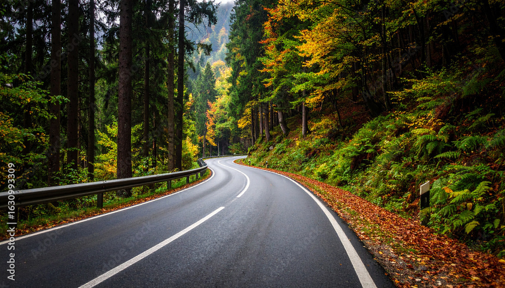Fototapeta premium Autumnal Road Through a Mountain Forest, Fresh Green Beautiful Fern Trees