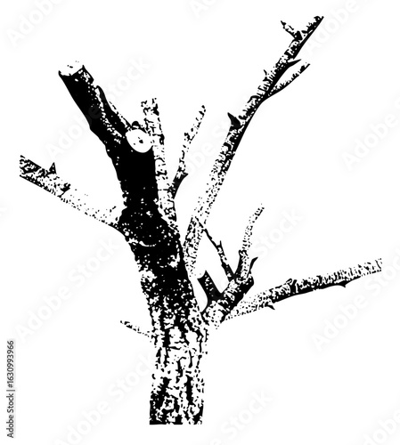 Vector Bare tree branches with a stark style.