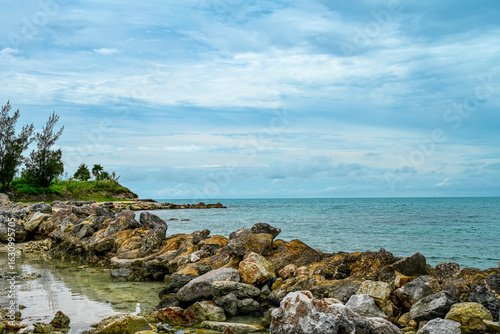 rocky coast of the sea