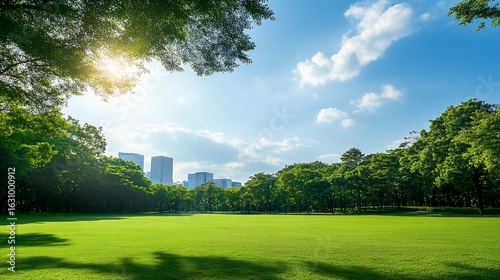 Green urban park with lush lawn and city skyline under bright sky