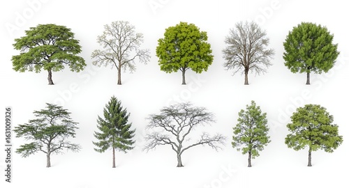 Ten Isolated Trees on White Background