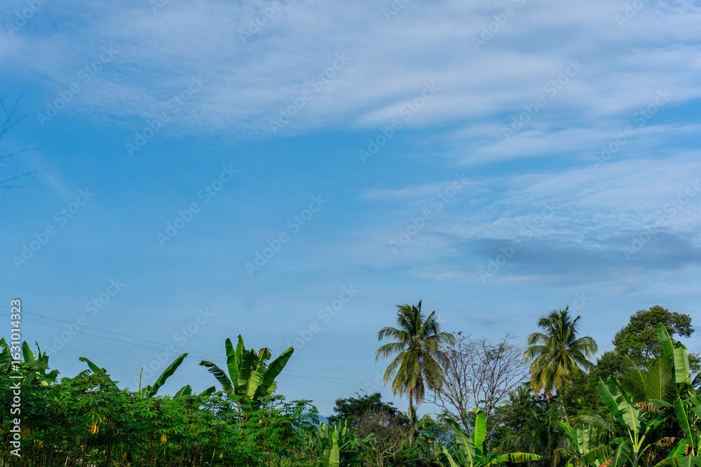 Naklejka premium Tropical Scene with Palm Trees and a Blue Sky