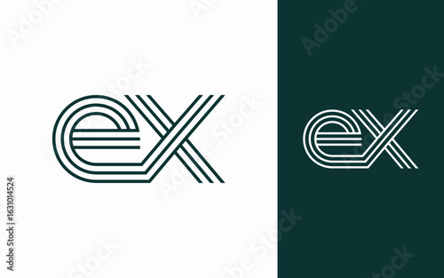 Modern elegant ex letter logo design vector