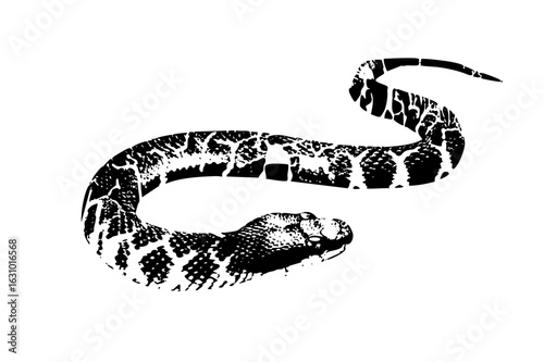 Vector Detailed of a coiled serpent with patterned scales.