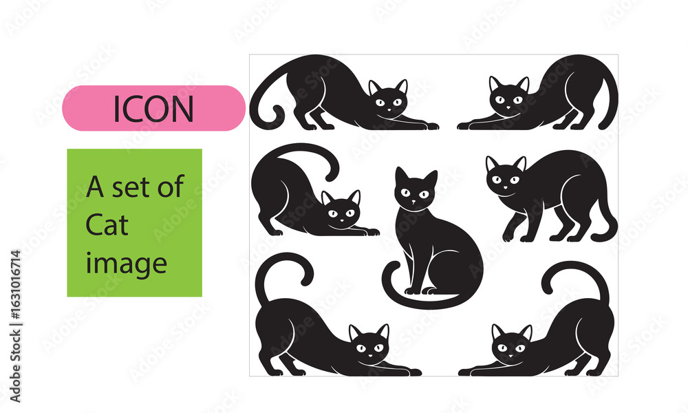 Fototapeta premium A set of cat image