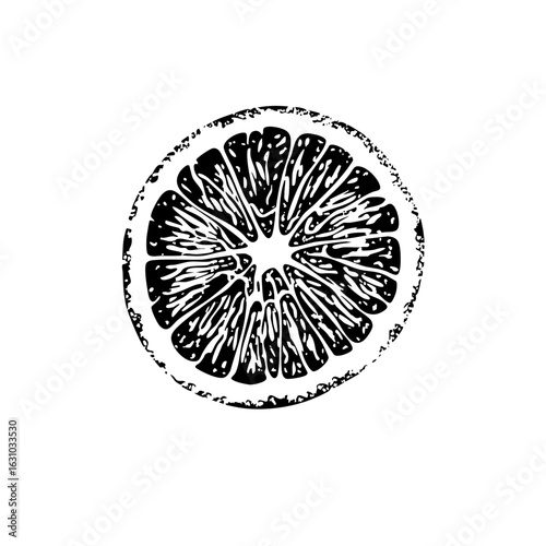 Vector Detailed citrus slice with textured segments.
