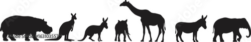Silhouettes of wild animals, kangaroo, elephant, giraffe, donkey, hippo, lined up, black vector, wildlife collection illustration