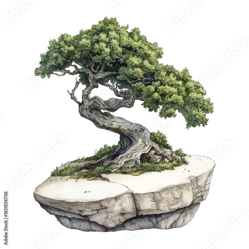 Watercolor Bonsai Tree png,  Vector Illustration on a Floating Rock with Green Foliage Design