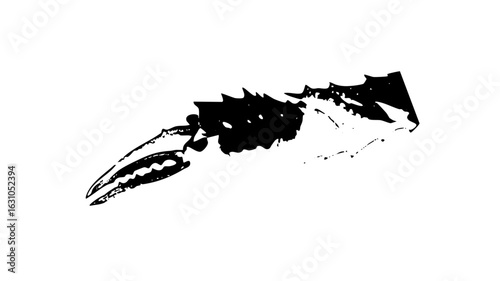 Vector Bold claw depicts a predatory raptors foot.