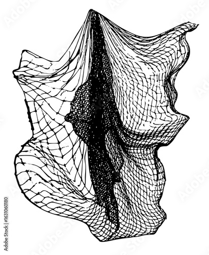 Vector Dramatic drapery features flowing fabric and bold shading.