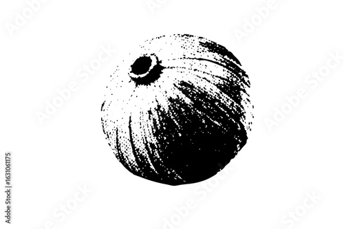 Vector Black and white of a textured pumpkin.