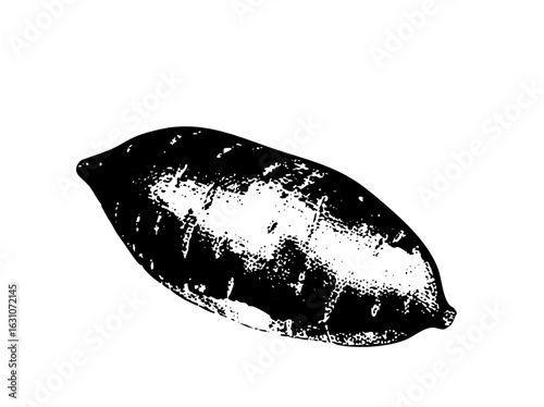Vector Detailed of a textured lemon fruit.