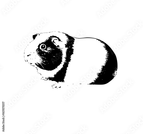 Vector Charming guinea pig in black and white.