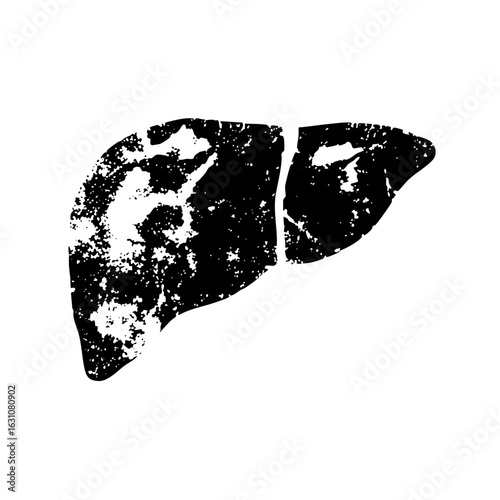 Vector Black silhouette of a human liver .