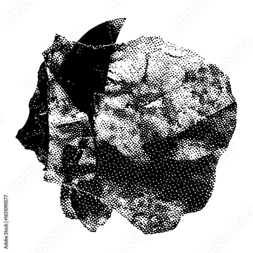 Vector Dual Portrait with Contrasting Halves