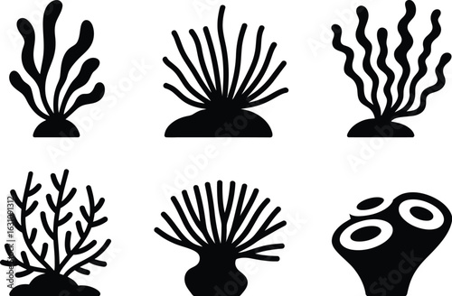 Collection of six stylized black silhouette illustrations of various coral reef organisms