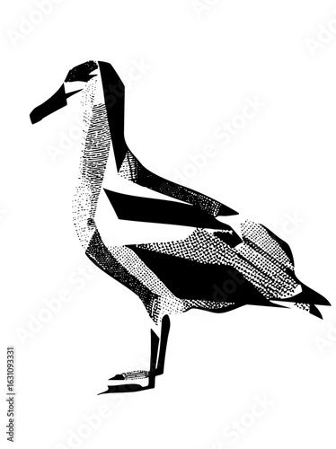Vector Stylized waterfowl features a detailed duck .