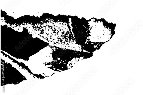 Vector Bold canine portrait showcases a stylized animal head .
