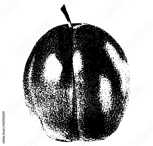 Vector Dark plum fruit with textured details.