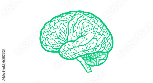 Green Brain Illustration Representing Cognitive Function, Intelligence, and Mental Health Awareness, ideal for neuroscience, psychology, and educational materials