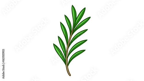 Sprig of Rosemary Green Leaves Brown Stem Illustration