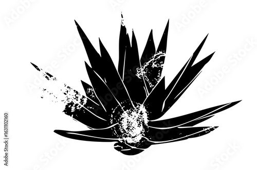 Vector Abstract agave plant with distressed texture.