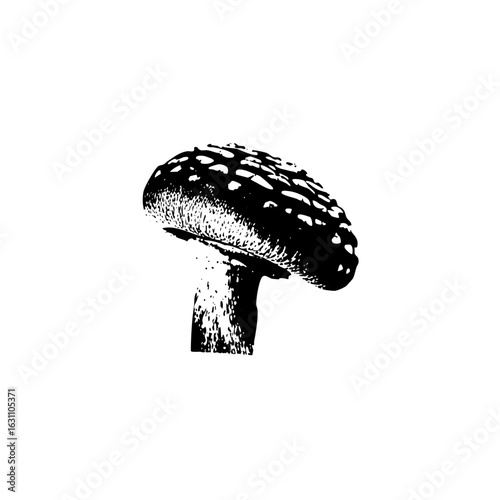 Vector Detailed of a spotted mushroom with a textured cap.
