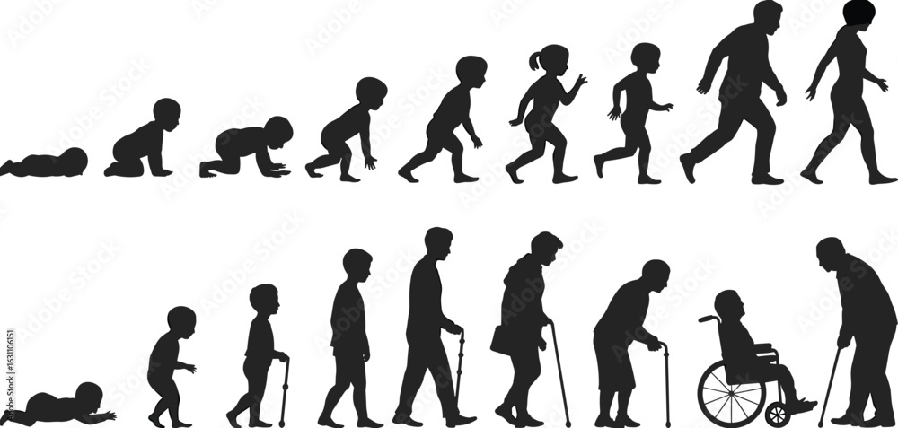Naklejka premium Silhouette of human life stages, baby to elderly, growing process, age timeline, aging concept, development evolution, flat vector illustration
