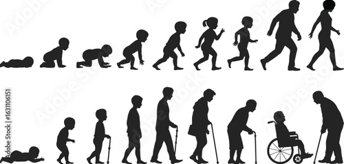 Silhouette of human life stages, baby to elderly, growing process, age timeline, aging concept, development evolution, flat vector illustration