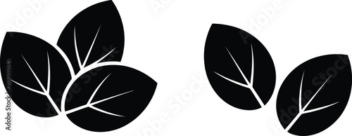 Two Groups of Black Leaf Silhouettes with Veins leaves plant