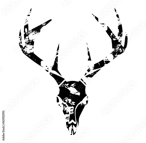 Vector Detailed stag skull with large antlers.