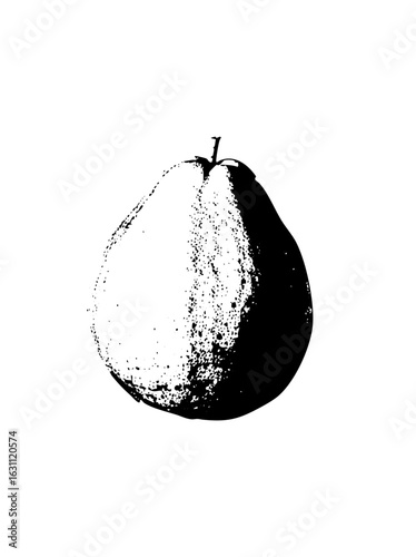 Vector Stylized pear with contrasting light and shadow.