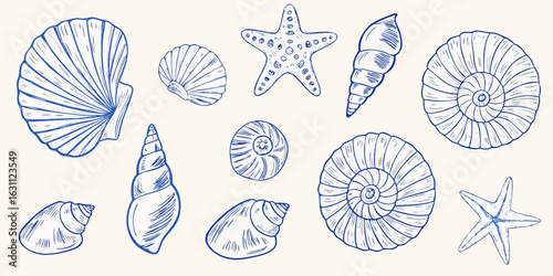 Collection of hand drawn blue line art seashells and starfish on a cream background